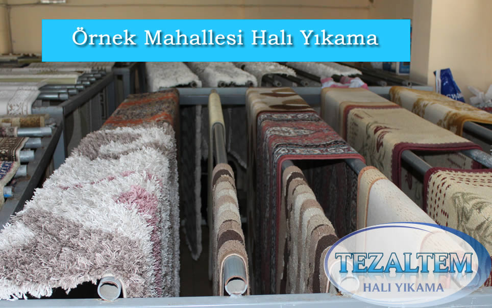 örnek mahallesi halı yıkama